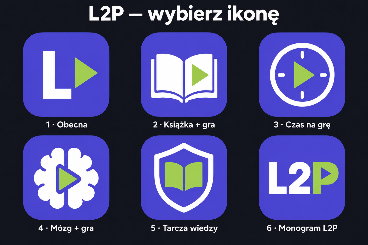 L2P ikony 1 6 final
