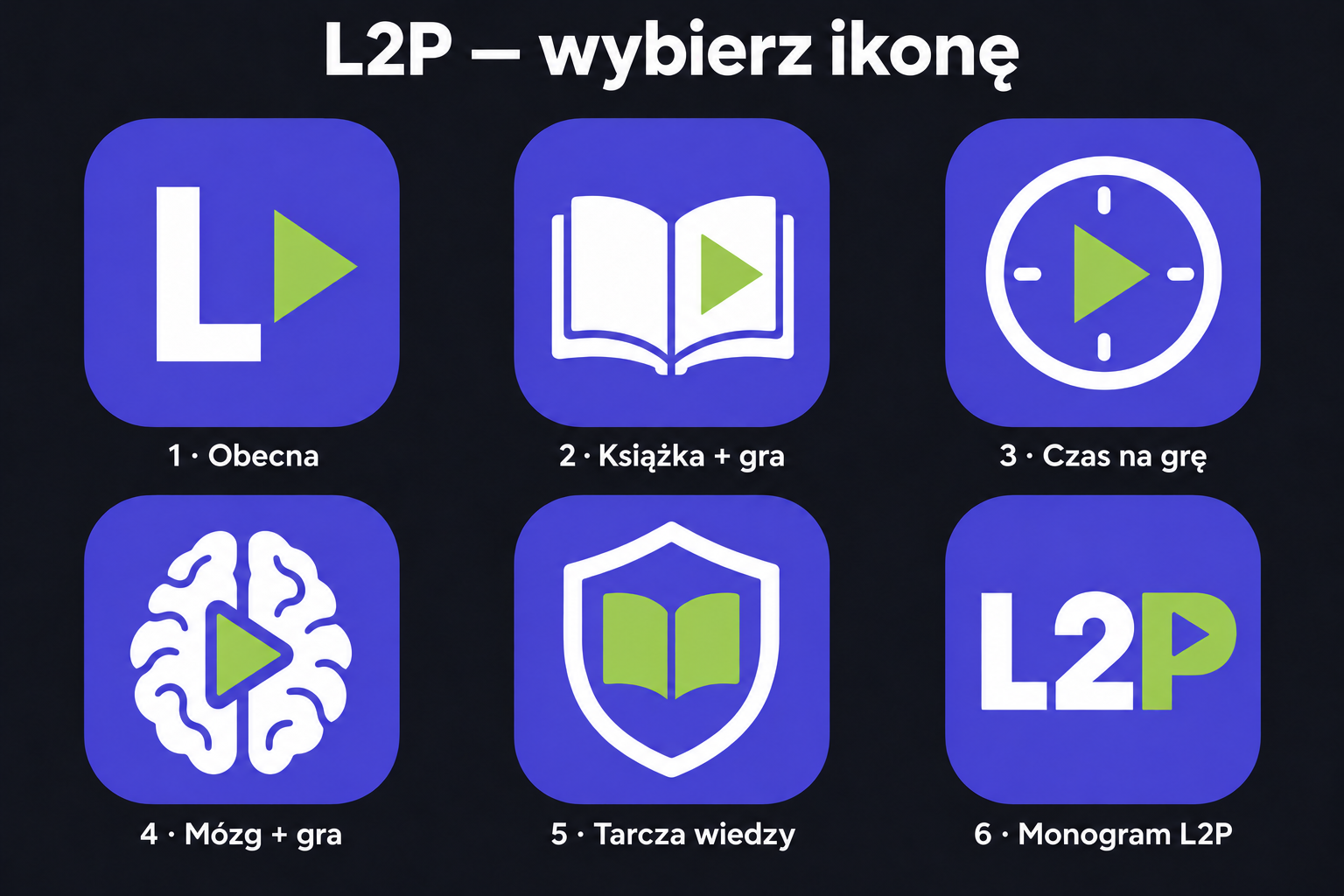 L2P ikony 1 6 mozg poprawiony
