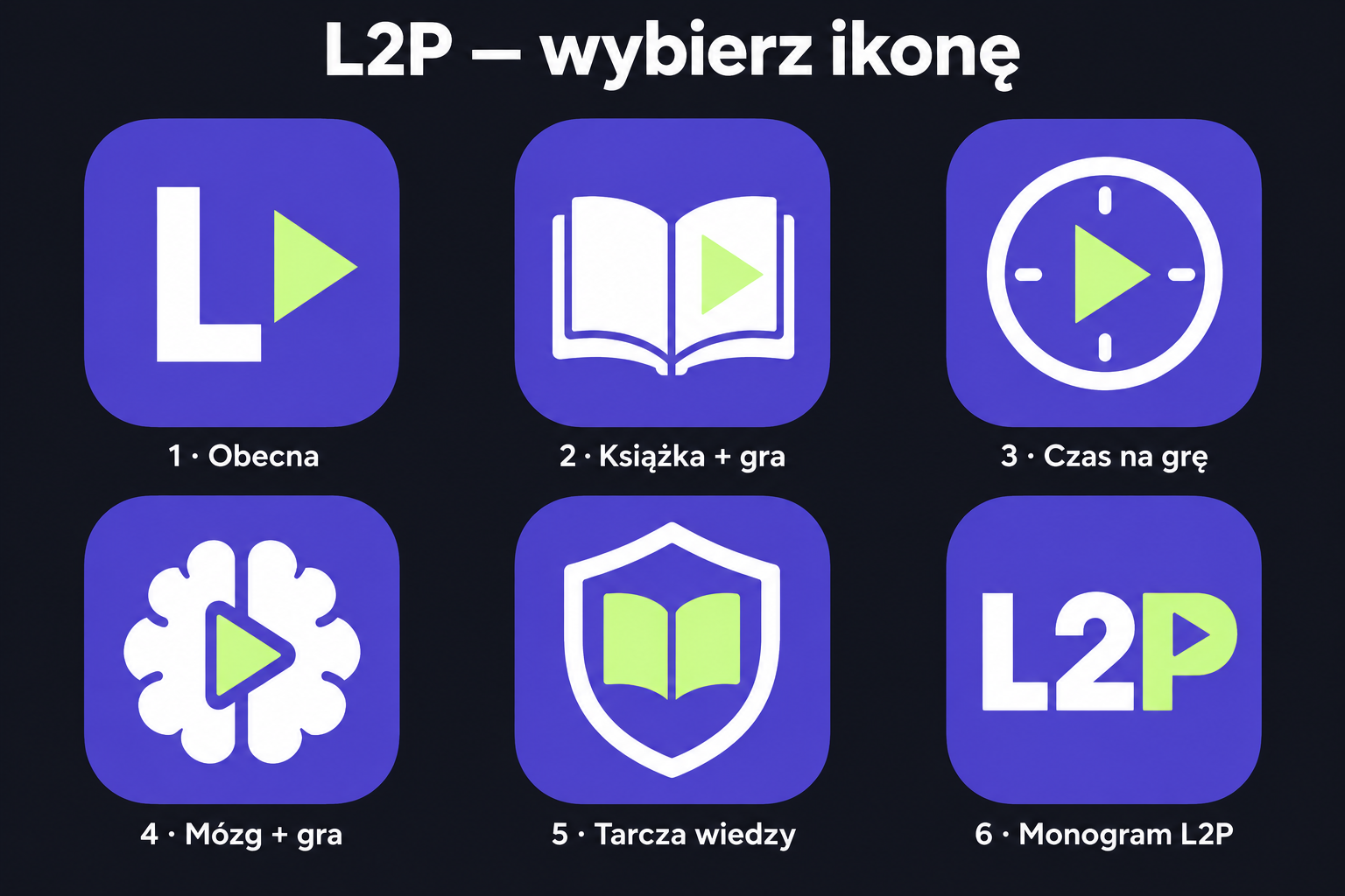 L2P ikony propozycje