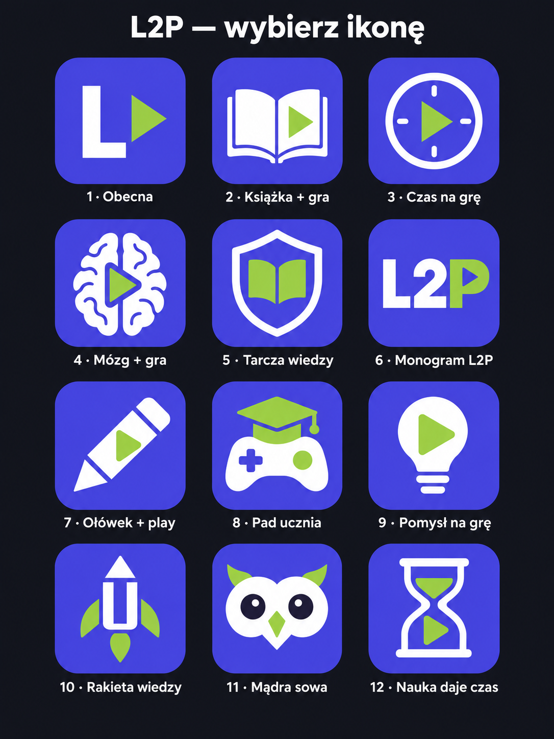 L2P ikony wszystkie 12